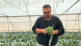 Mohamed Syam, palästinensischer Flüchtling in Jordanien, bringt anderen Flüchtlingen die Techniken der Hydrokultur bei, um ihnen einen angemessenen Lebensunterhalt zu ermöglichen.