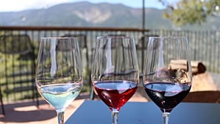 Wines in Tsiakkas winery.