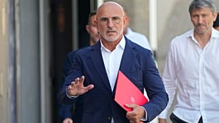 Luis de la Fuente has apologised. 