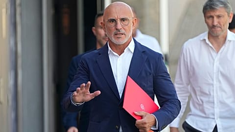 Luis de la Fuente has apologised. 