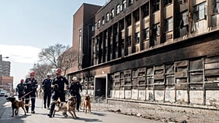 رجال الانقاذ يستعينون بكلاب K9 في عمليات البحث
