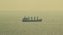 Laut Selenskyj passieren Schiffe den Getreidekorridor
