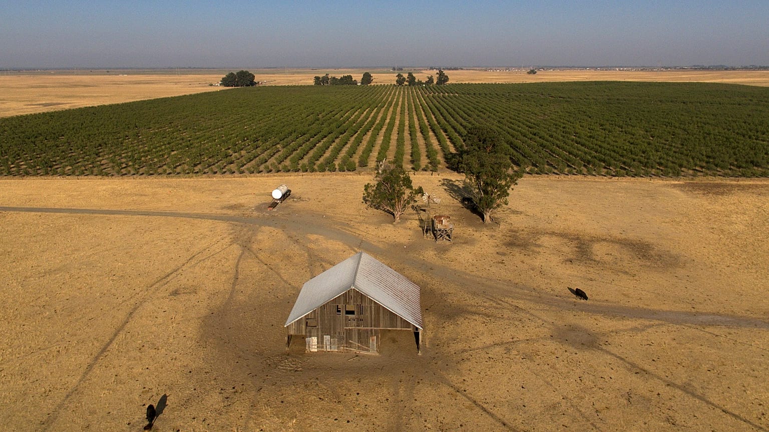 Des milliardaires et des investisseurs de la Silicon Valley sont à l'origine d'une opération secrète d'achat de plus de 202 km2 de terres agricoles, qui dure depuis des années, en vue de la construction d'une nouvelle ville.