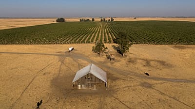 Des milliardaires et des investisseurs de la Silicon Valley sont à l'origine d'une opération secrète d'achat de plus de 202 km2 de terres agricoles, qui dure depuis des années, en vue de la construction d'une nouvelle ville.