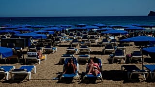 Os turistas que frequentam as praias de Benidorm foram alertados para os ataques de peixes.
