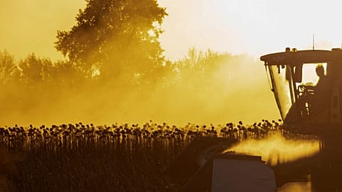 An agriculture worker operates a combine during sunflower harvest in a field, amid Russia's attack on Ukraine, in Chernihiv region, Ukraine.