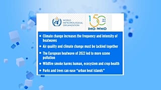 I punti chiave del rapporto dell'Organizzazione meteorologica mondiale.