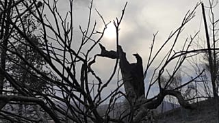 Έβρος - Άβαντας
