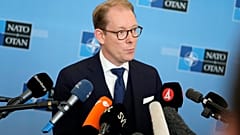 İsveç Dışişleri Bakanı Tobias Billstrom