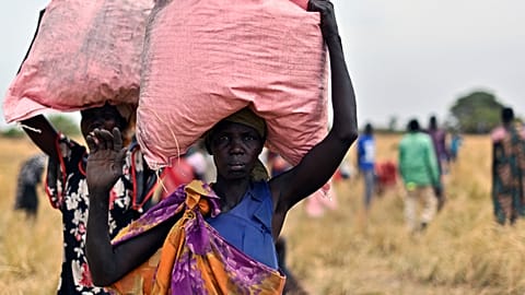 Locals in South Sudan collect the food drop of grain, delivered by the World Food Programme.