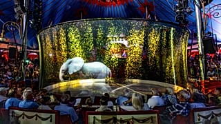 Holograma de elefante no circo Roncalli, Alemanha