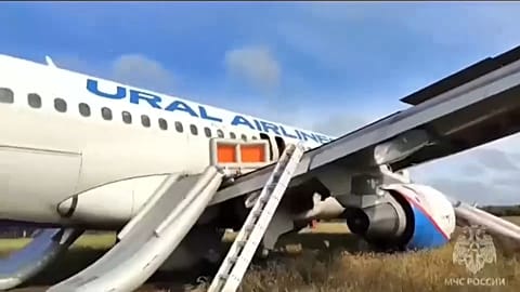 The Ural Airlines airbus A320 in a Siberian field, its escape chutes deployed, September 12 2023