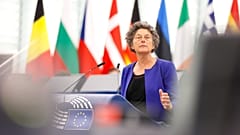 Депутат Европарламента на сессии в Страсбурге
