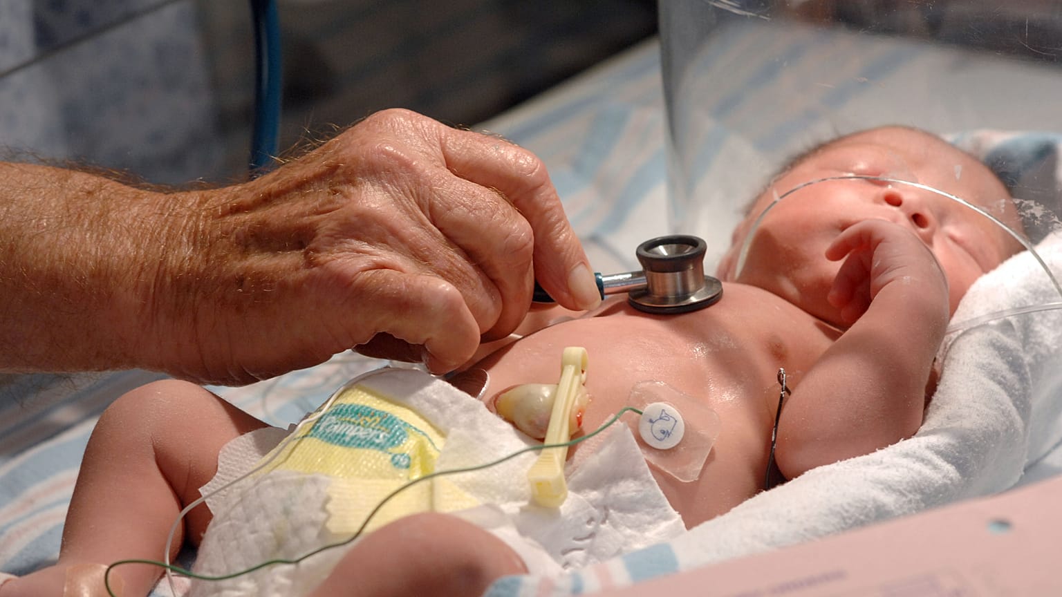 وحدة العناية المركزة لحديثي الولادة (NICU) في المركز الطبي الإقليمي في ممفيس، تينيسي