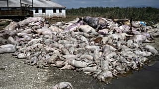 ΝΕΚΤΑ ΖΩΑ ΣΤΗΝ ΚΑΡΔΙΤΣΑ ΑΠΟ ΤΟ ΠΕΡΑΣΜΑ ΤΟΥ "ΝΤΑΝΙΕΛ"