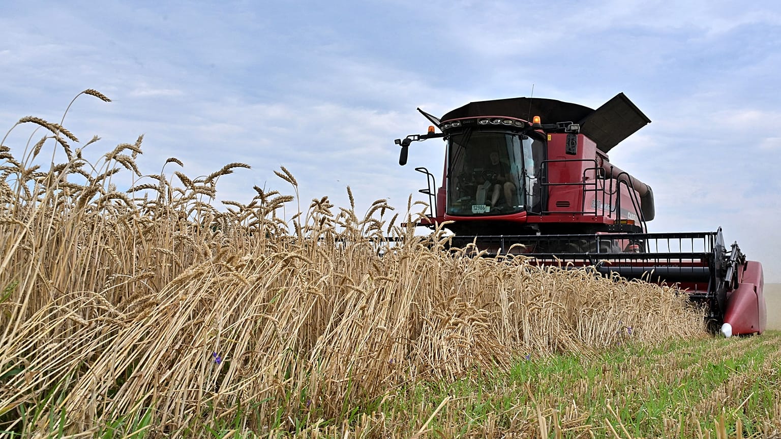 L'Ucraina è uno dei maggiori produttori di grano e mais al mondo e molti Paesi a basso reddito dipendono dalle sue esportazioni.