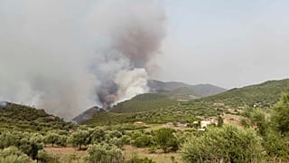 حرائق غابات في منطقة بورباتاش الجبلية بالجزائر- 24 يوليو 2023.