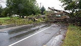 Πολλές πτώσεις δέντρων στις πληγείσες περιοχές