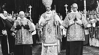 XII. Piusz pápa 