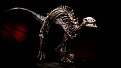 Barry, der Dinosaurier, soll bis zu 1,2 Millionen Euro wert sein 