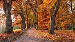Europa ist voll von herbstlichen Farben.