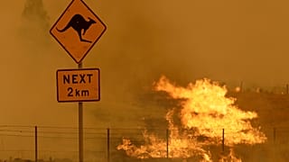 Buschbrand nahe der Stadt Canberra - 2020 Archiv