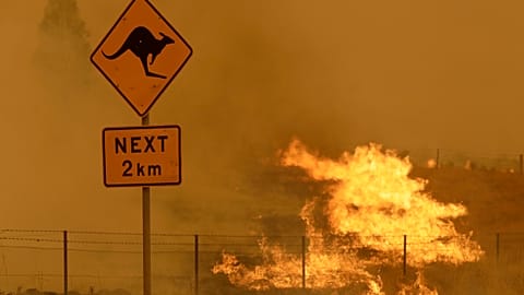 Buschbrand nahe der Stadt Canberra - 2020 Archiv