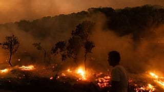 Vue des flammes d'une forêt en feu, dans le village de Dikela, près de la ville d'Alexandroupolis, dans la région d'Evros, au nord-est de la Grèce, le 22 août 2023.