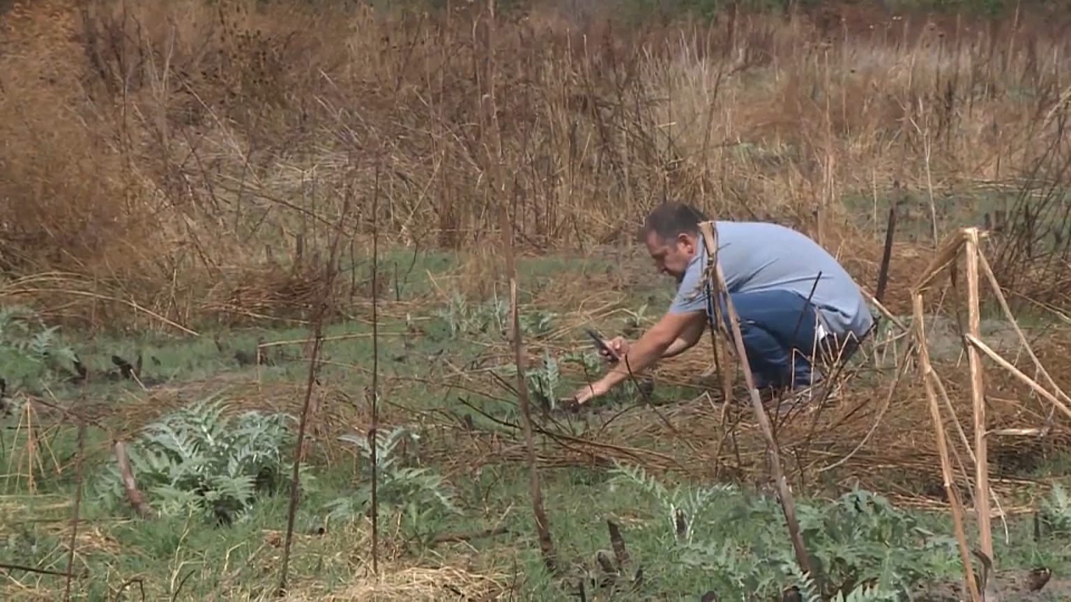 Un miembro de la cooperativa trabaja en el terreno.