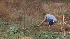 Ein Mitarbeiter von Terra Felix