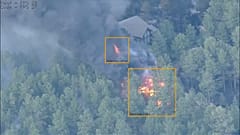 Ein Waldbrand