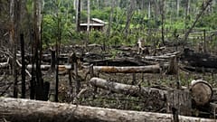 Bäume liegen in einem abgeholzten Gebiet vor einem Haus im Chico-Mendes-Reservat in Xapuri, Bundesstaat Acre, Brasilien, 6\. Dezember 2022.