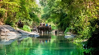The sale and advertising of some animal tourism abroad will be banned under the new law.