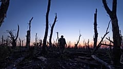 Ukrainische Soldaten gehen durch einen verkohlten Wald an der Frontlinie nahe Andrijiwka