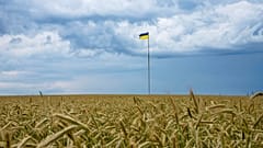 Die Getreideausfuhr beeinträchtigt die Beziehung zwischen Polen und der Ukraine