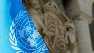 Σημαία Ηνωμένων Εθνών