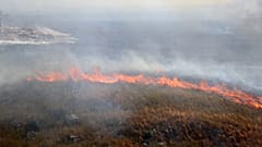 A wildfire is seen near Palermo, Sicily, Italy, between Montelepre and Villabate