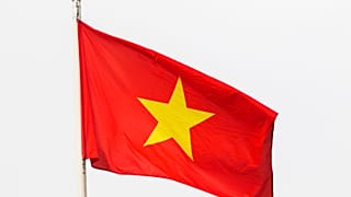 The flag of Vietnam flying
