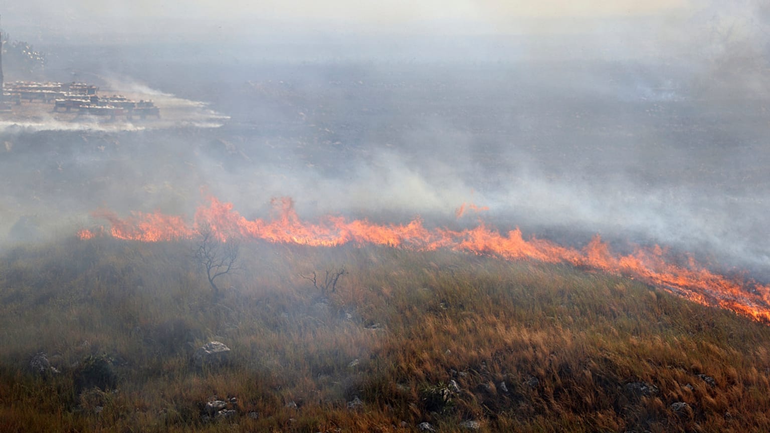Incendi in Sicilia