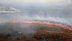 Eine Feuerfront zwischen Montelepre und Villabate am 22.9.2023