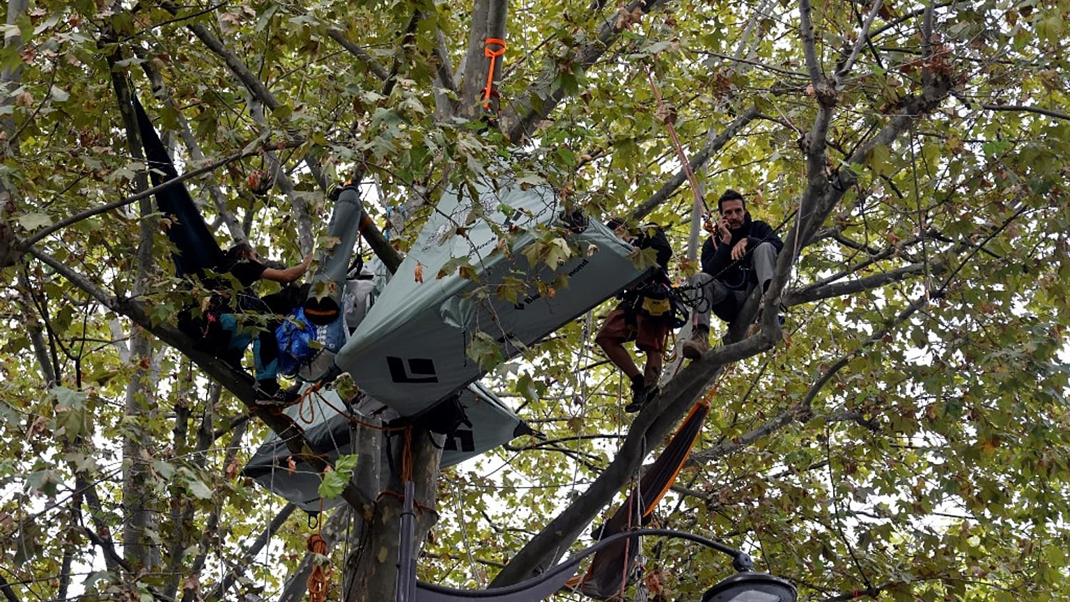 Le Français Thomas Brail (à droite), fondateur du GNSA (Groupement national pour la surveillance des arbres), et d'autres militants écologistes dans un platane à Paris.