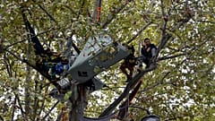 Le Français Thomas Brail (à droite), fondateur du GNSA (Groupement national pour la surveillance des arbres), et d'autres militants écologistes dans un platane à Paris.