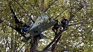 Le Français Thomas Brail (à droite), fondateur du GNSA (Groupement national pour la surveillance des arbres), et d'autres militants écologistes dans un platane à Paris.