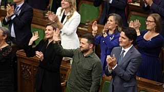 Βολοντίμιρ Ζ