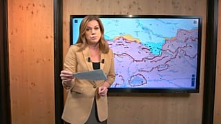Sacha Vakulina, journaliste à Euronews