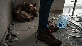 Crimini di guerra in Ucraina da entrambe le parti, ma dalla Russia abusi diffusi e sistematici