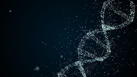 COVID antiviral drug linked to mutations