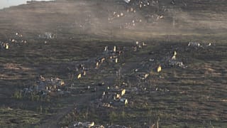 منازل مدمرة في قرية كليشيفكا شرق أوكرانيا