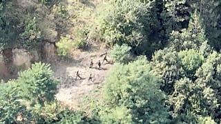 صور للمسلحين وهم يفرون عبر الأحراش