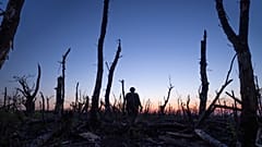 Украинские военнослужащие проходят через обугленный лес на линии фронта к югу от Бахмута, 16 сентября 2023 года.